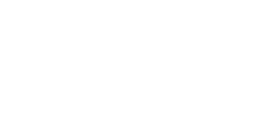 PREMIER